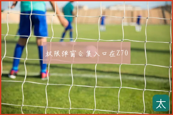 权限弹窗合集入口在Z70